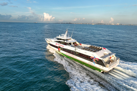 From Padangbai: Gili Islands and Lombok Fast Ferry Transfer Padangbai To Bangsal With EKAJAYA Fast Ferry