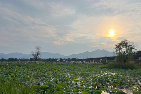 Dagtrip Yangpyeong: Natuur, kunst &amp; café in Yangpyeong