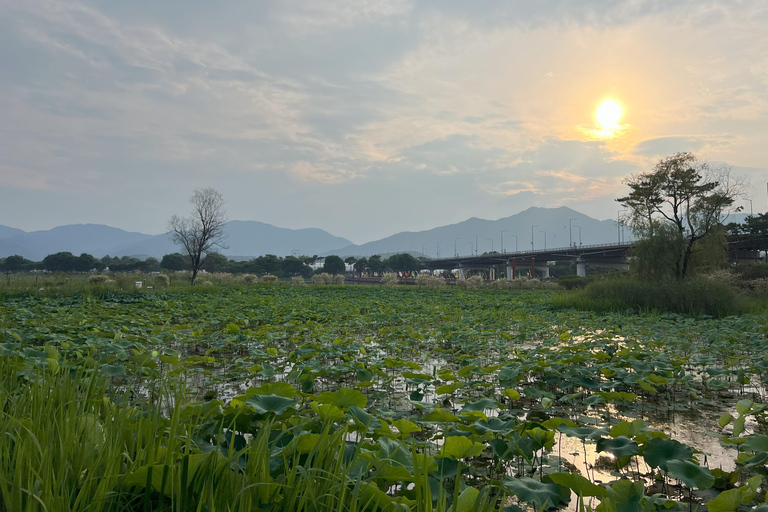 Dagsutflykt i Yangpyeong:Natur, konst och café i Yangpyeong