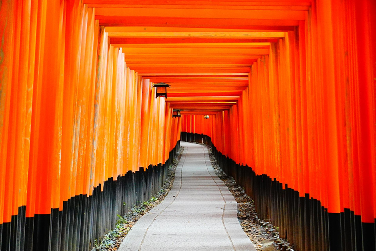 Kyoto: Private Ganztagestour mit dem Auto