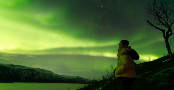 Tromsø: Aurora Quest Minibus-Abenteuer