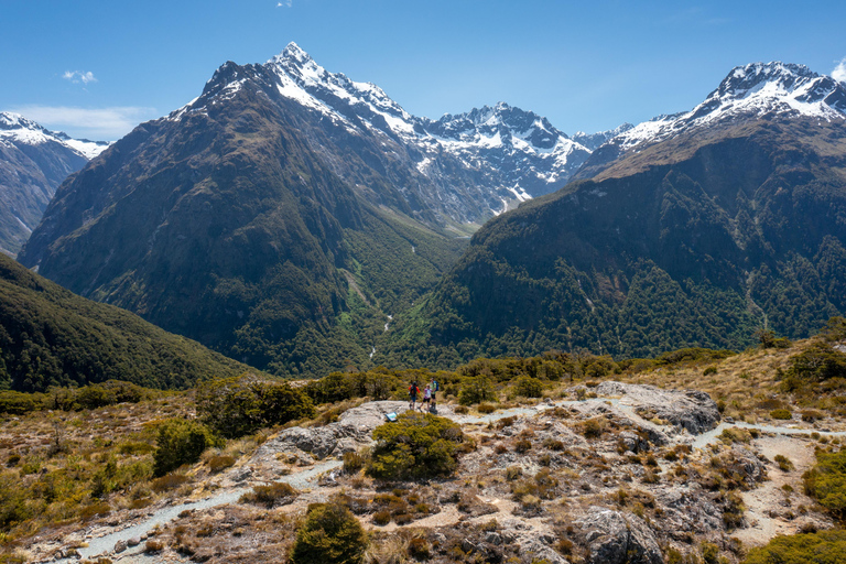 From Te Anau: Milford Sound Cruise & Key Summit Hike
