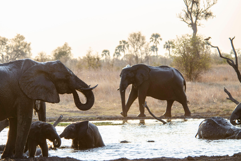 4-Day Four Countries - Zimbabwe, Zambia, Botswana & Namibia