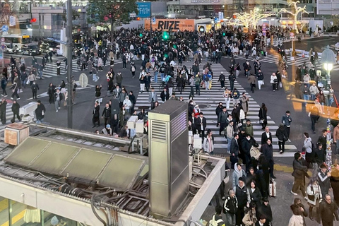 Tokyo Night Walk: Shibuya & Shinjuku Hidden Alleys Private Tour