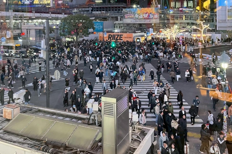 Tokyo Night Walk: Shibuya & Shinjuku Hidden Alleys Private Tour
