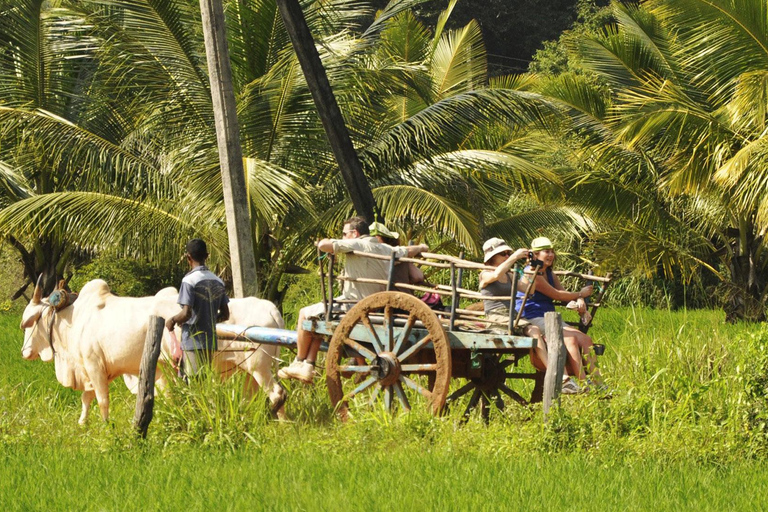 SriLanka: Sigiriya Day Tour with Airport Transfer