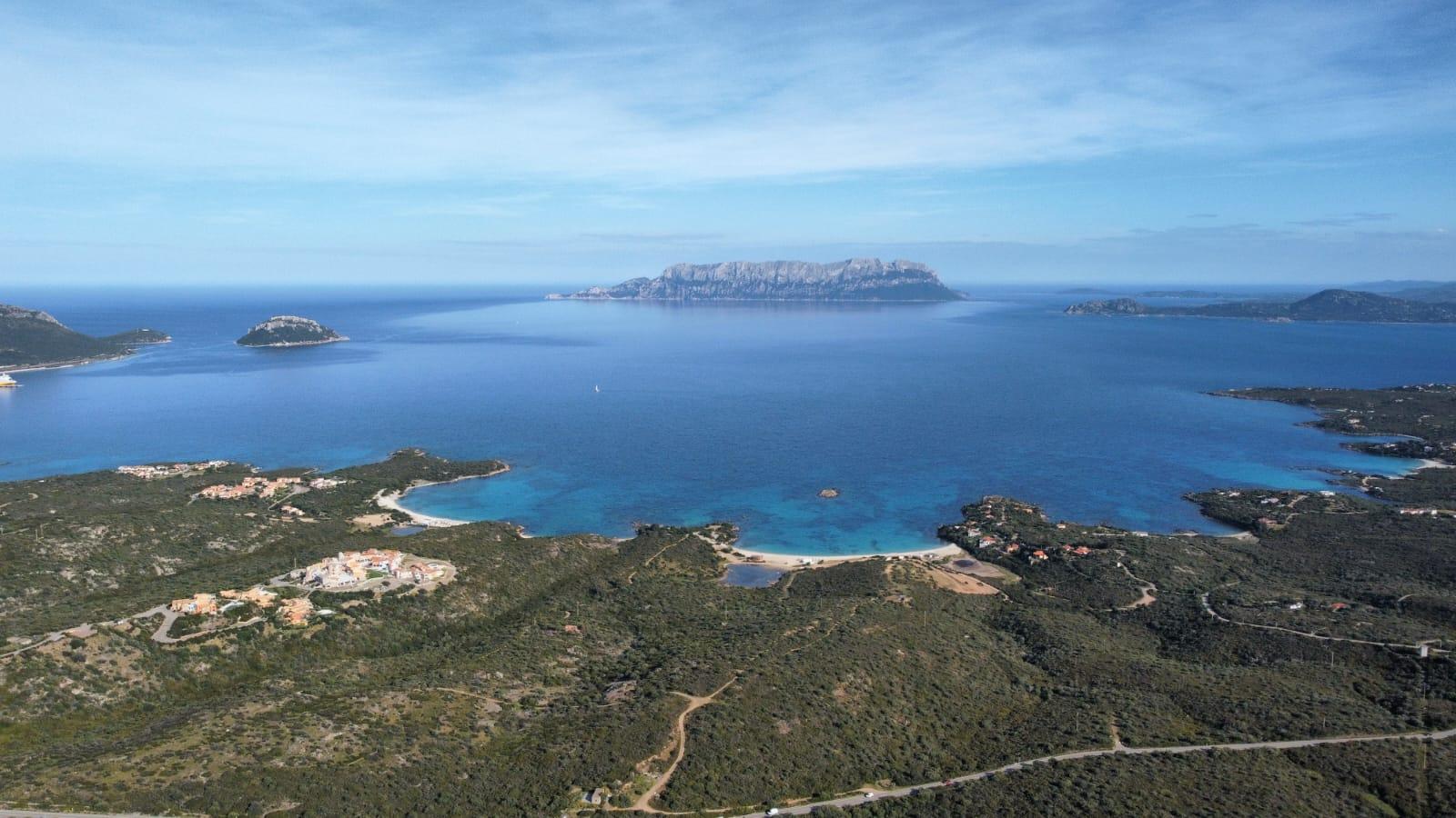 Sardinien: Bootstour an der Costa Smeralda mit Delfinbeobachtung