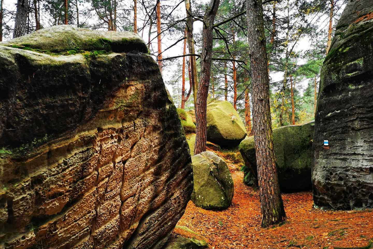 布拉格出发：波西米亚天堂一日徒步游