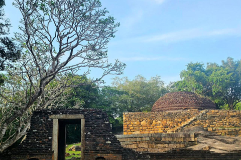 From Colombo: Anuradhapura Private Transfer & Temple Tour