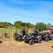 CIUDAD DEL CABO: PASEO EN QUAD POR EL RANCHO DEL AVESTRUZ, DURBANVILLE