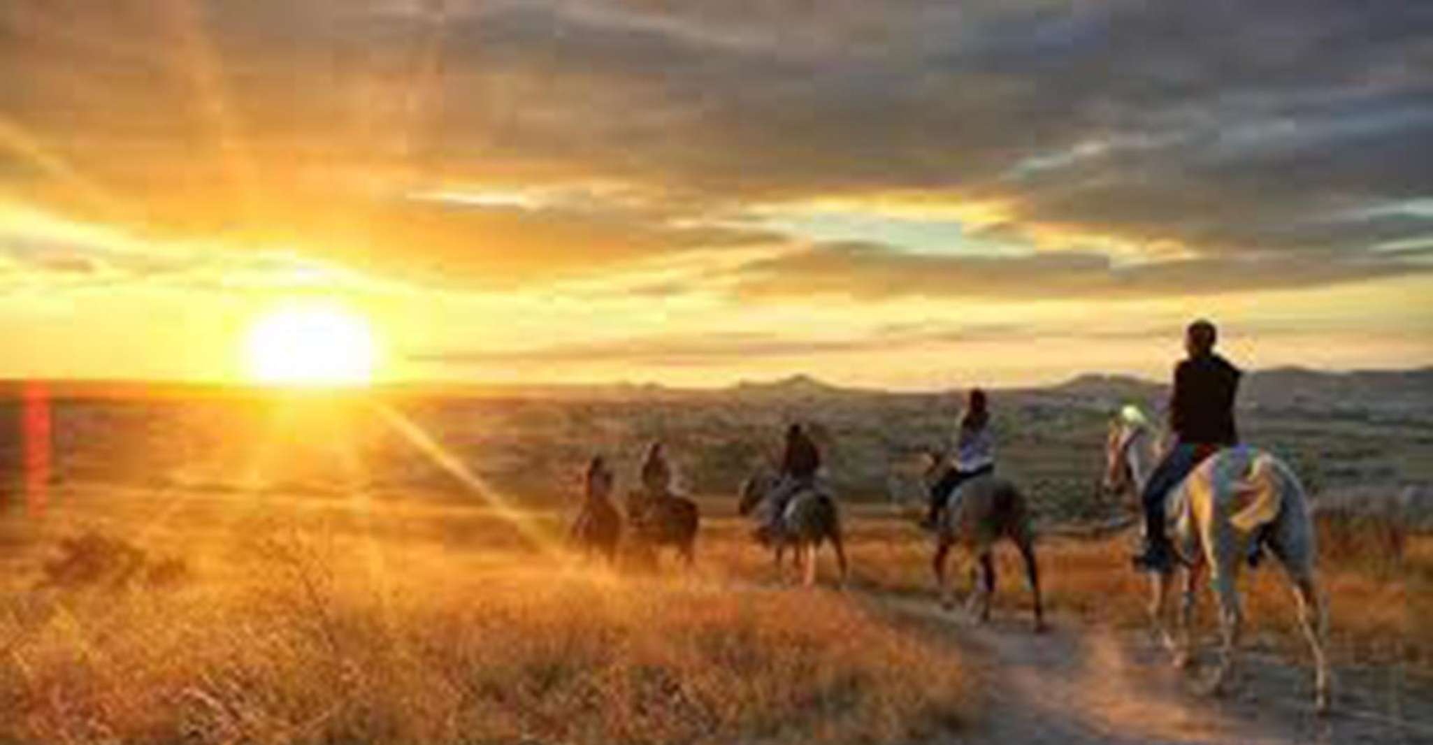 Horse Riding Tour - Housity