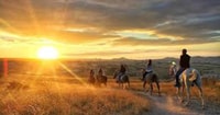 Horse Riding Tour - Housity