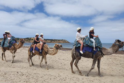 Adelaide: McLaren Vale, Port Elliot & Victor Harbor Tour