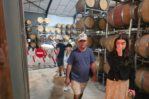 Cape Town: Cruise Passengers sunset Safari & Wine Tour