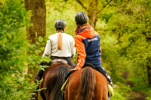 Dambulla: Scenic Countryside Horseback Ride 2-hour Dambulla: Scenic Countryside Horseback Ride