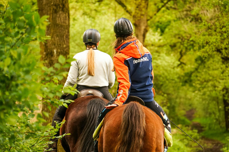 Dambulla: Scenic Countryside Horseback Ride 2-hour Dambulla: Scenic Countryside Horseback Ride
