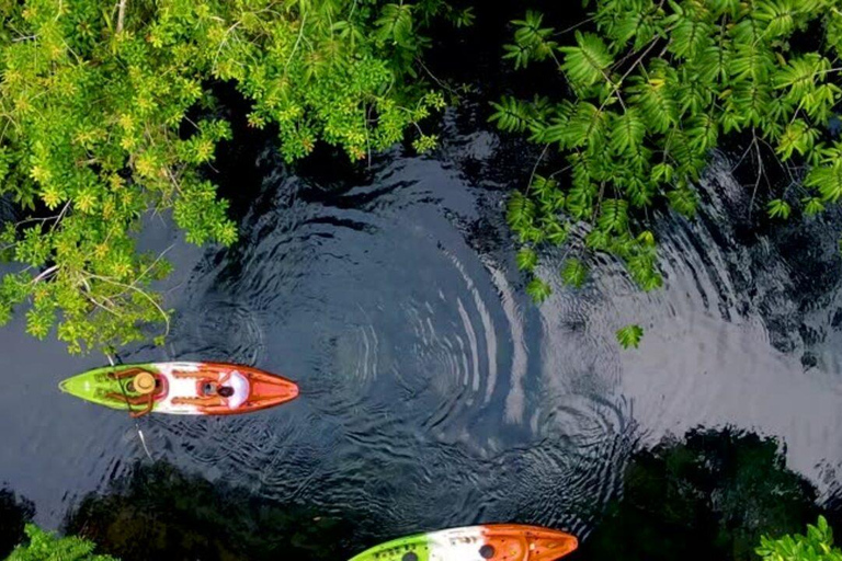 Zanzibar: wycieczka kajakowa z przewodnikiem po mangrowcach wyspy UziWycieczka prywatna bez odbioru z hotelu i transportu powrotnego