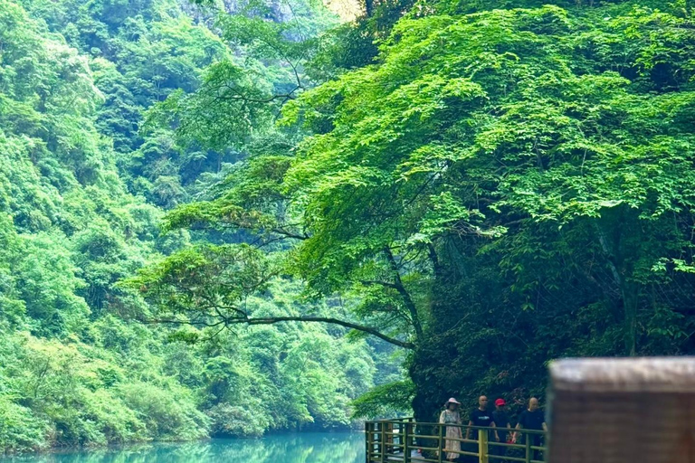 Zhangjiajie Grand Canyon, Glass Bridge with 5 Adventures Guide for other languages