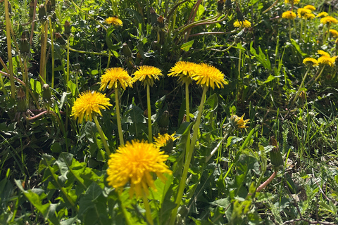 From Shkoder: Albania Alps Tour Shala River-Valbona-Theth