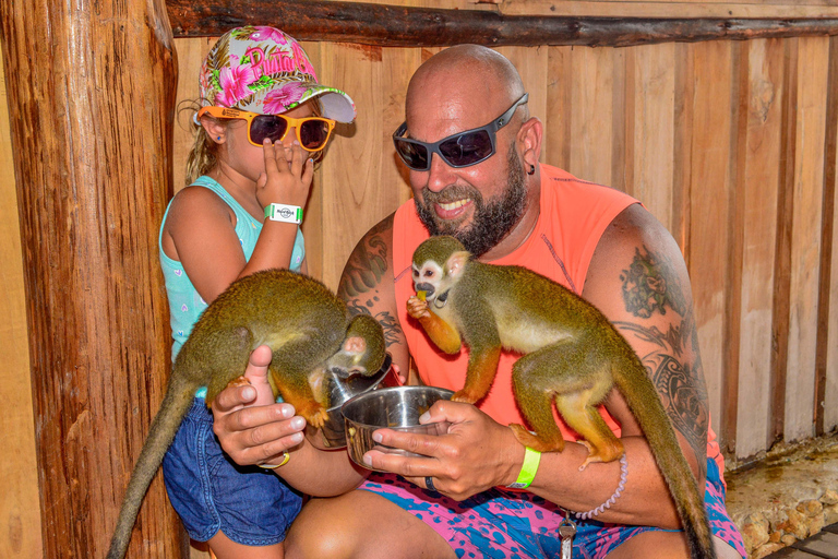 Punta Cana: Monkey Sanctuary, Farm & Cenote Swim Combo
