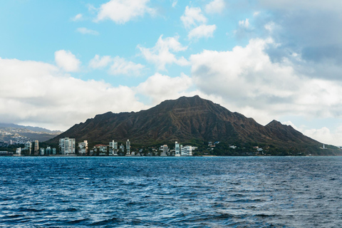 Honolulu, Oahu: Waikiki Whale Watching Cruise
