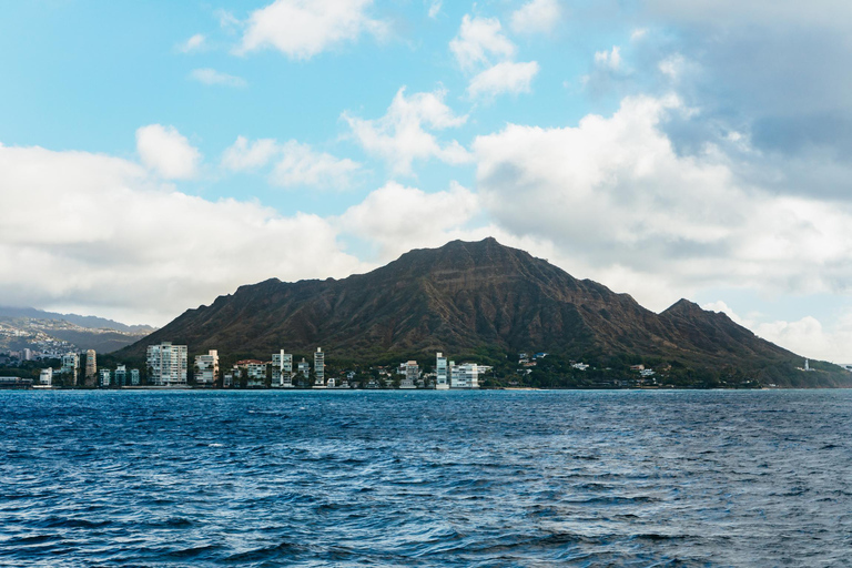 Honolulu, Oahu: Waikiki Whale Watching Cruise