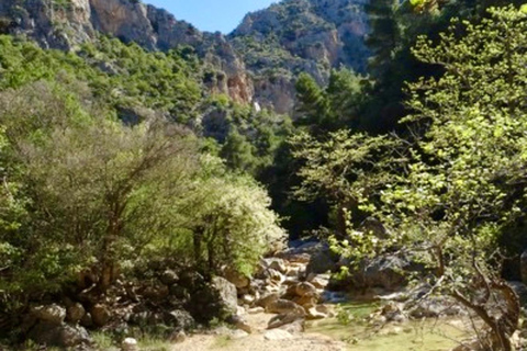 Patras: Escursione all&#039;alba a Panachaiko con colazione e cascata