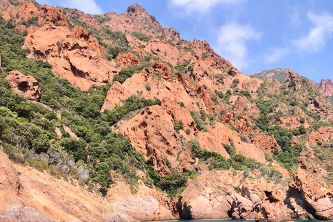 Von Sagone/Cargèse aus: Scandola, Piana und Girolata BootstourVon Cargèse: Scandola Girolata Calanques Piana