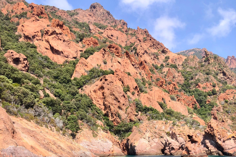 De Sagone/Cargèse: Passeio de barco por Scandola, Piana e Girolata