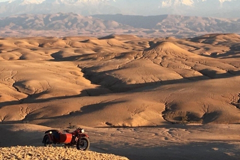 Cena espectáculo en el desierto de Agafay y paseo en camello al atardecer