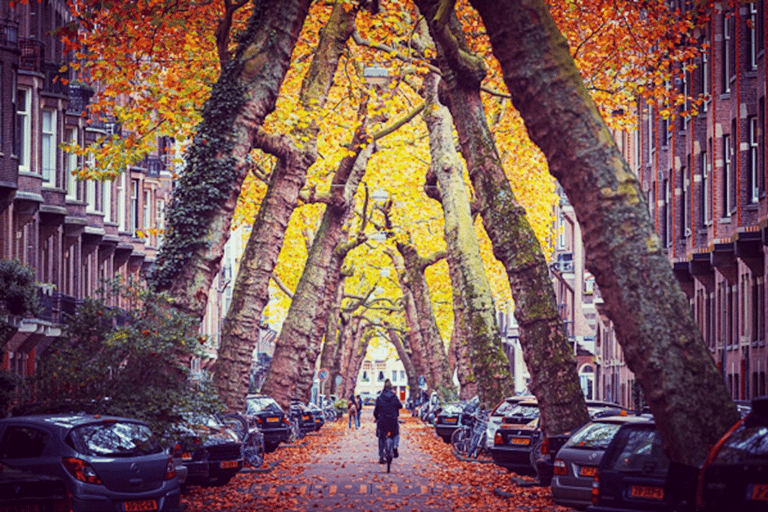 Amsterdam: Top Highlights Guided Bike Tour EN/DE/ES/FR/IT/CN Bike Tour with Guide & Audio Guide in DE, ES, FR, IT, and CN