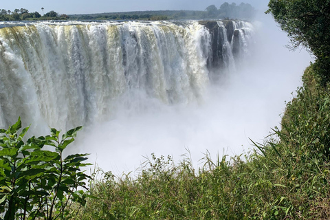 Victoria Falls: Guided Tour with Transportation