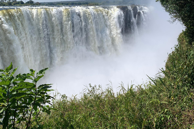 Victoria Falls: Guided Tour with Transportation