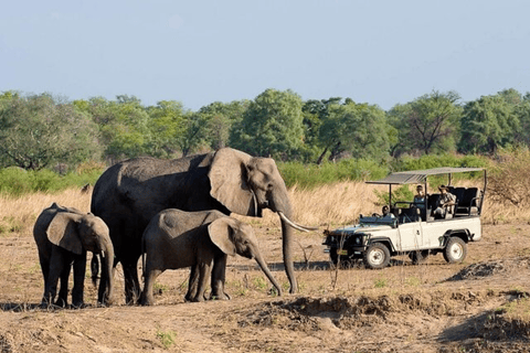 Sunrise Game Drive in Zambezi NP: Big Five Tracking