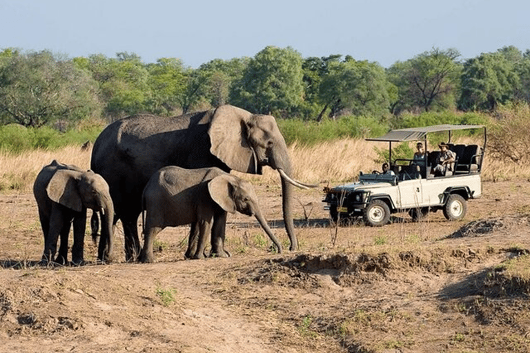 Sunrise Game Drive in Zambezi NP: Big Five Tracking