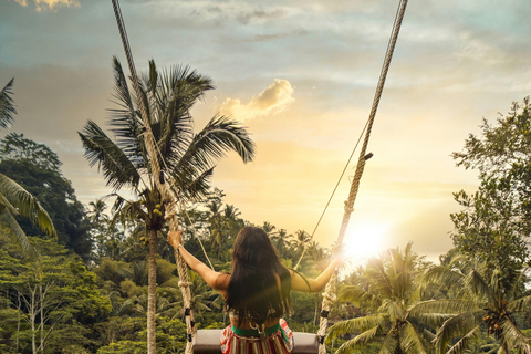Ubud:Foresta delle scimmie, terrazze di riso, templi d&#039;acqua e cascate
