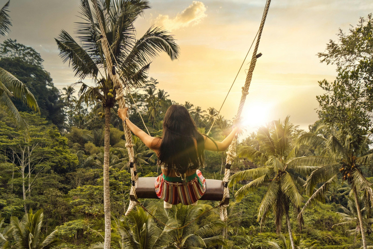 Ubud:Foresta delle scimmie, terrazze di riso, templi d&#039;acqua e cascate