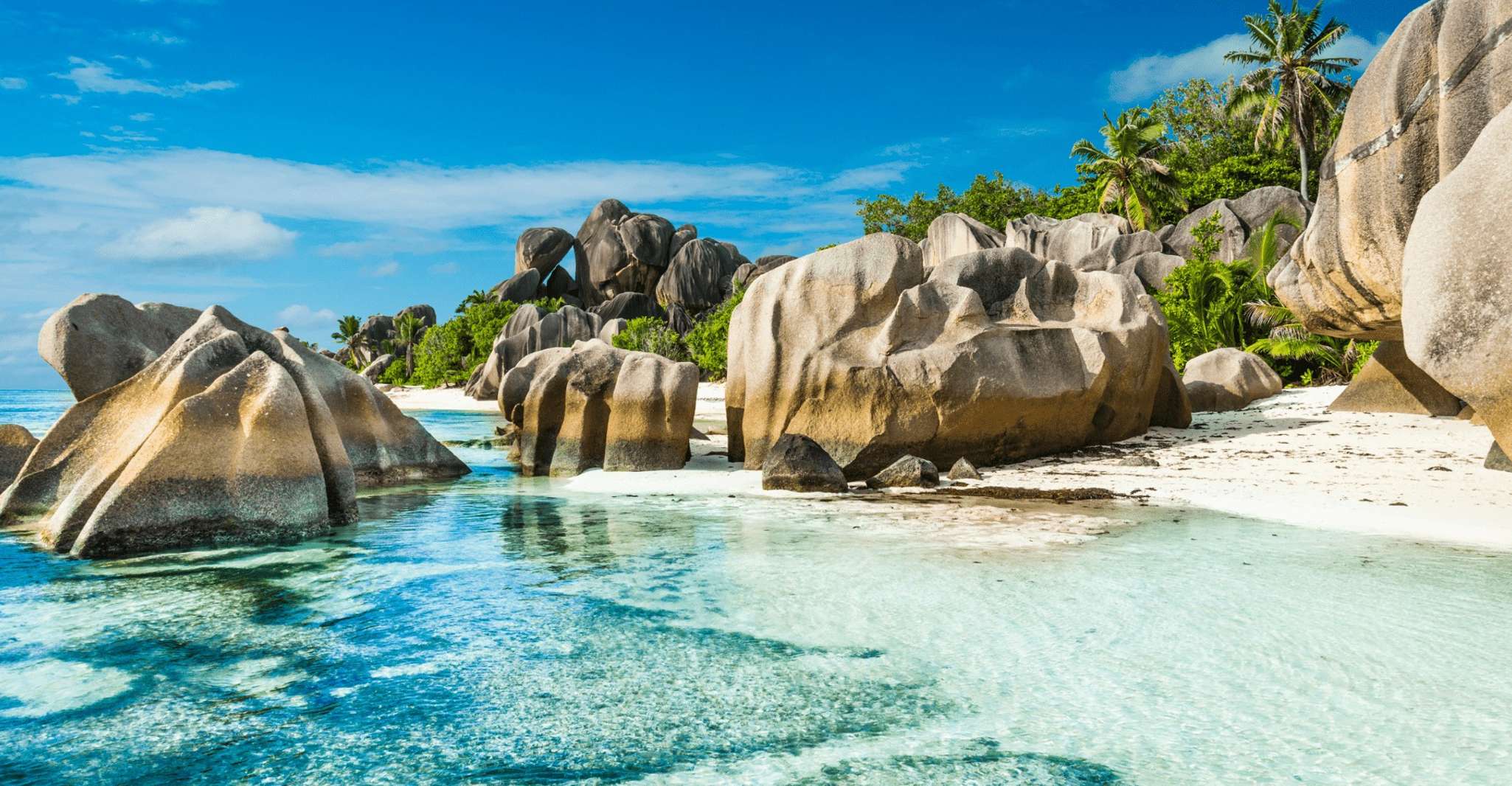 Flow (Vacaylux) tour guide Seychelles - Housity