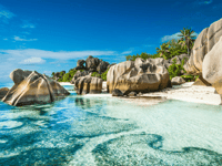 Flow（VacayLux）ツアーガイドSeychelles - Housity