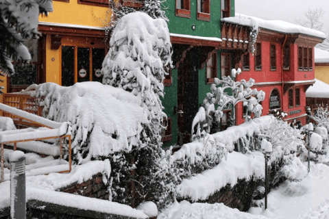 Istanbul: Bursa and Uludag Tour with Lunch & Cable Car Bursa & Uludag Tour with Lunch (without Cable Car)
