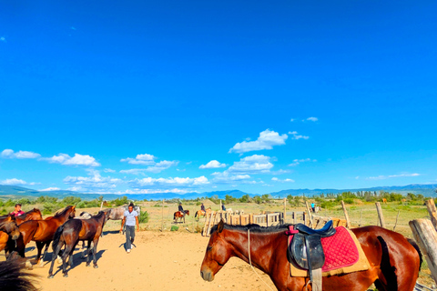 From Tbilisi: Guided Horseback Riding Tour with Transfer 1-Hour Horseback Riding with Round-Trip Transfer