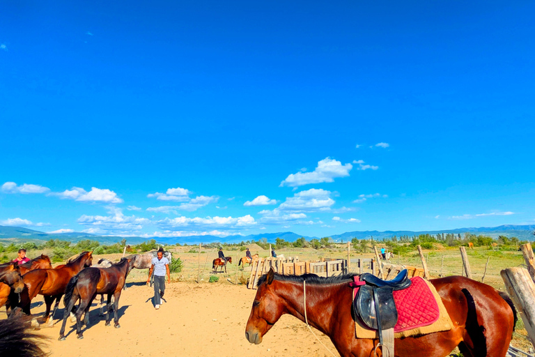 From Tbilisi: Guided Horseback Riding Tour with Transfer 1-Hour Horseback Riding with Round-Trip Transfer