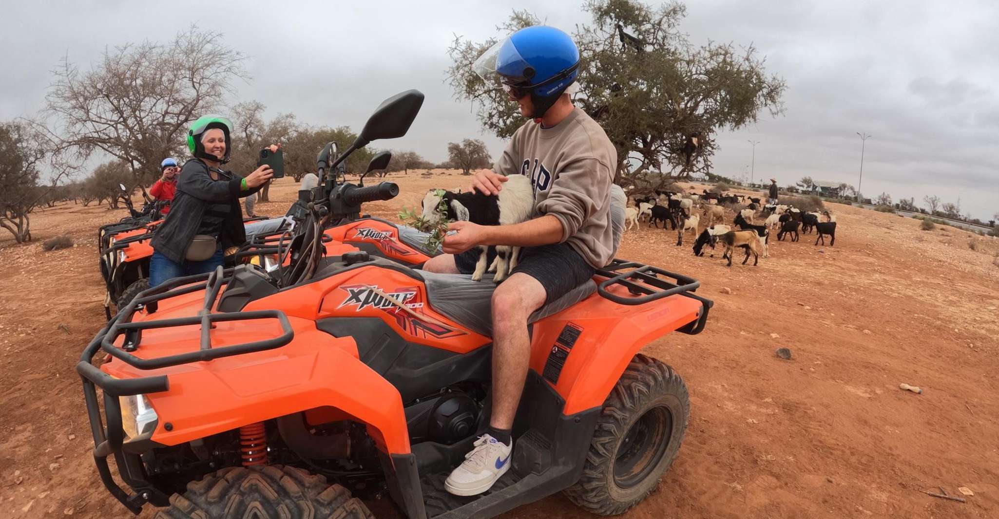 Agadir: Quad Biking & Goats in Trees With Optional Crocopark