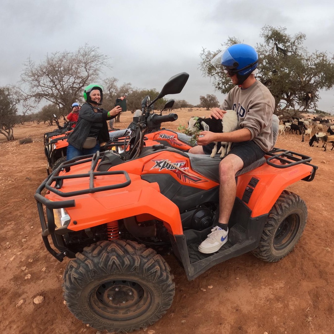 Agadir : aventure en quad, chèvres dans les arbres et Crocopark en option
