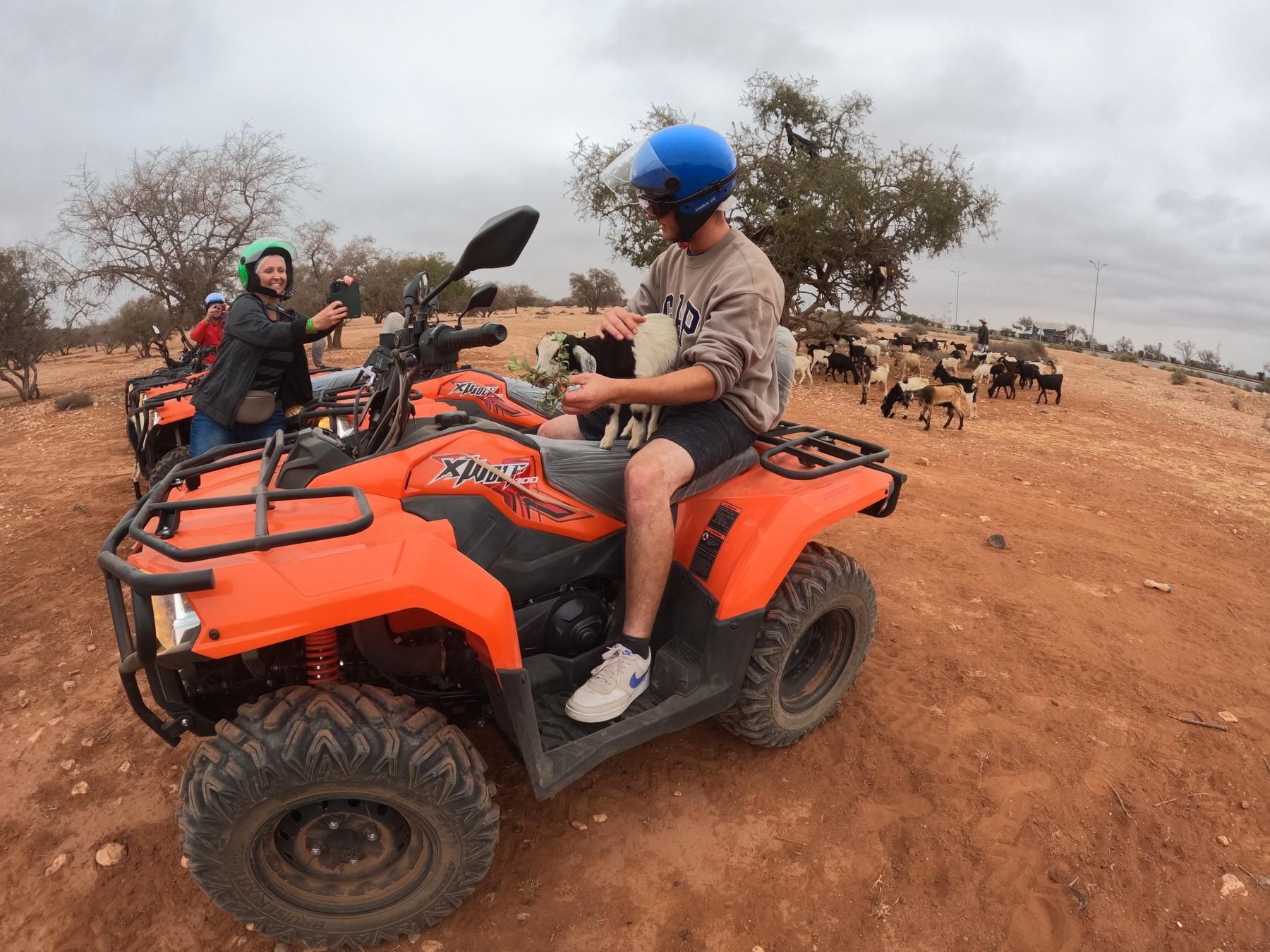 Agadir: Quadfahren & Ziegen in den Bäumen mit optionalem Crocopark