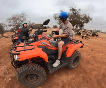 Agadir: Agafay Desert Quad Biking With Goats On The Tree