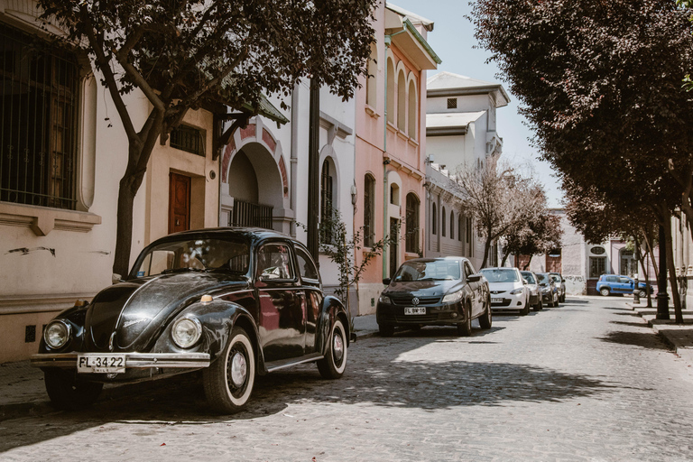 Santiago de Chile: 100% private photo tour, full day