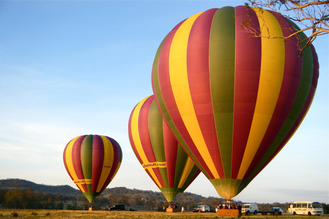 Volo in mongolfiera nella Hunter Valley con trasferimento dal centro di Sydney