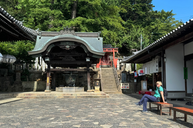 Nara : Découvrez le temple de Tohdaiji-Temple en 2 heures