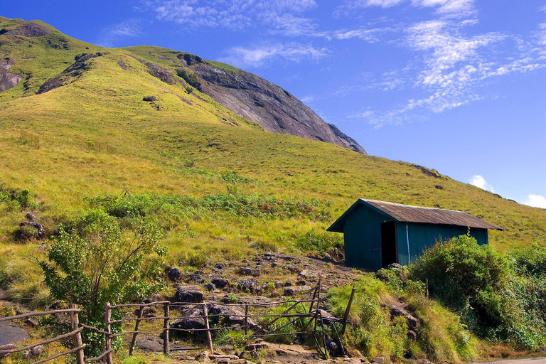 Munnar i Alleppey 3N/4D Ekskluzywna wycieczka z pobytem na łodzi mieszkalnej